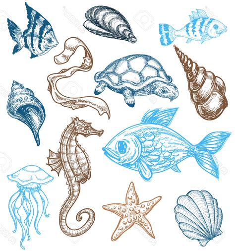 marine life drawing ideas|How to Draw Marine Life .